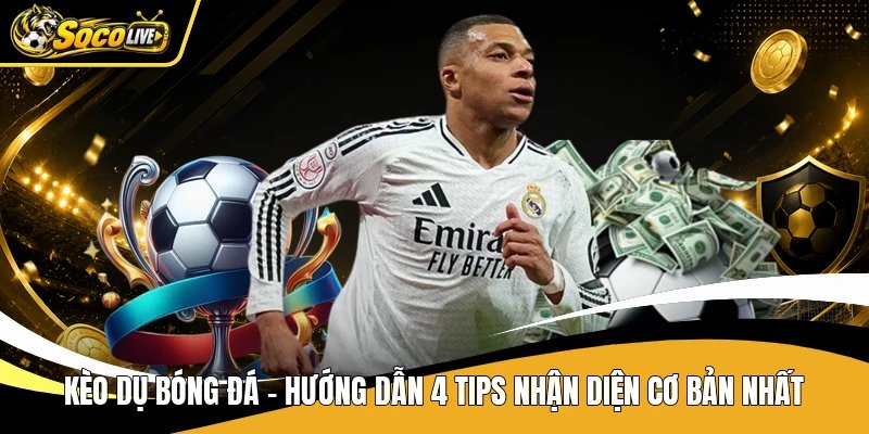 Kèo Dụ Bóng Đá – Hướng Dẫn 4 Tips Nhận Diện Cơ Bản Nhất