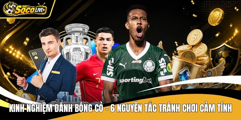 Kinh Nghiệm Đánh Bóng Cỏ Socolive – Nguyên Tắc Tránh Chơi Cảm Tính